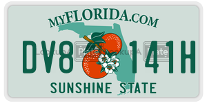 DV8141H license plate in Florida