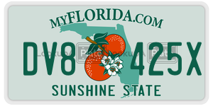 DV8425X  license plate in FL