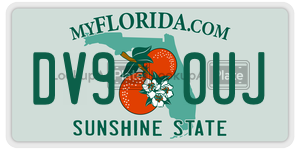 DV90UJ  license plate in FL