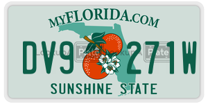 DV9271W  license plate in FL