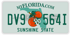 DV9564I license plate in Florida