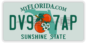 DV97AP  license plate in FL