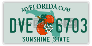DVE6703 license plate in Florida
