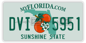 DVI5951  license plate in FL