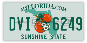 DVI6249 license plate in Florida