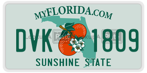 DVK1809 license plate in Florida