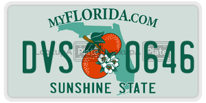 DVS0646 license plate in Florida