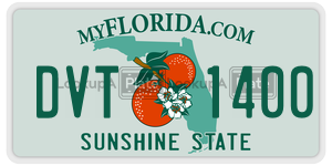 DVT1400  license plate in FL
