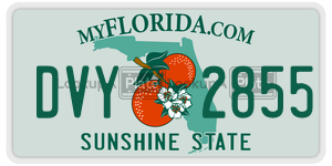 DVY2855 license plate in Florida