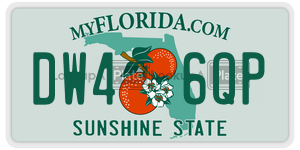 DW46QP  license plate in FL