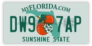 DW97AP  license plate in FL