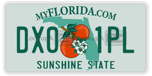 DX01PL  license plate in FL
