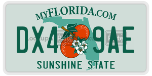 DX49AE license plate in Florida