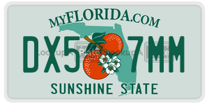 DX57MM  license plate in FL