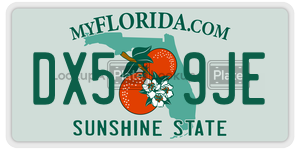 DX59JE  license plate in FL