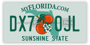 DX70JL  license plate in FL