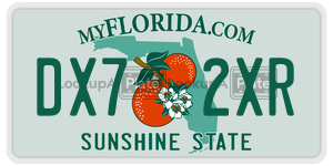 DX72XR  license plate in FL