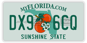 DX96CQ  license plate in FL