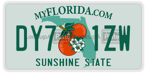 DY71ZW  license plate in FL