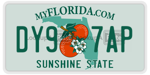 DY97AP  license plate in FL