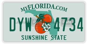 DYW4734  license plate in FL