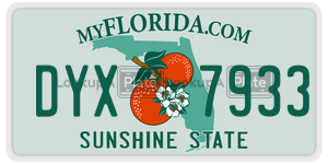 DYX7933  license plate in FL