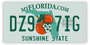 DZ97IG  license plate in FL
