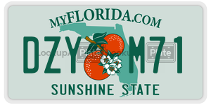 DZYM71 license plate in Florida
