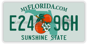 E2496H license plate in Florida
