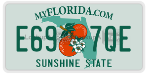 E697QE  license plate in FL