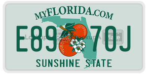 E8970J  license plate in FL