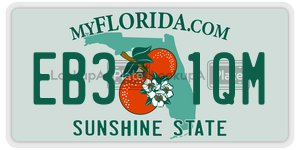 EB31QM  license plate in FL