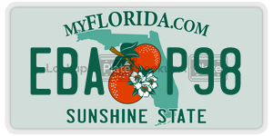 EBAP98  license plate in FL