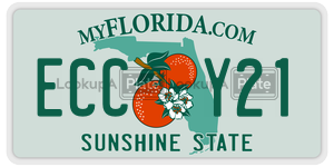 ECCY21 license plate in Florida