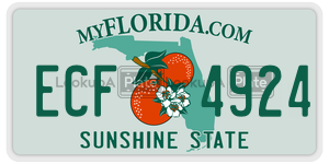 ECF4924  license plate in FL