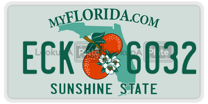 ECK6032  license plate in FL