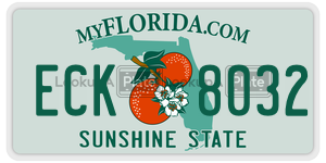 ECK8032  license plate in FL