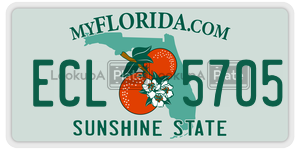ECL5705  license plate in FL