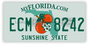 ECM8242  license plate in FL