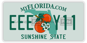 EEEY11 license plate in Florida