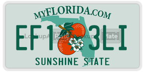 EF13LI  license plate in FL