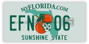 EFN06 license plate in Florida