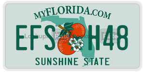 EFSH48  license plate in FL
