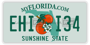 EHII34  license plate in FL