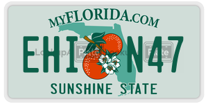EHIN47 license plate in Florida