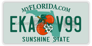 EKAV99 license plate in Florida