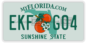EKFG04  license plate in FL