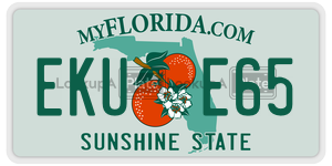 EKUE65  license plate in FL