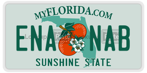 ENANAB license plate in Florida