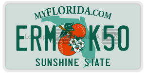 ERMK50 license plate in Florida